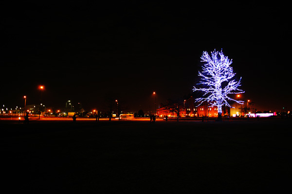 a0008508_153790.jpg