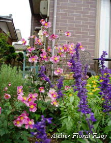 d0001008_17153516.jpg