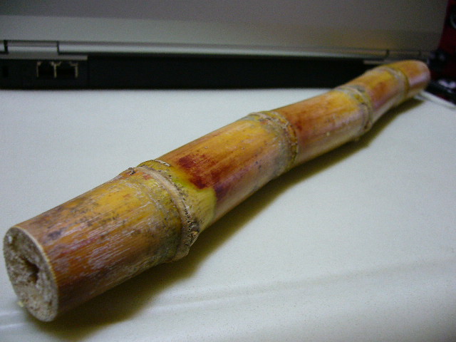 e0015108_1292647.jpg