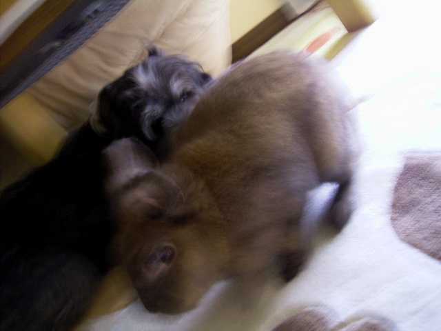 e0042626_1248675.jpg