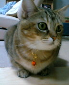 f0055228_7104316.jpg
