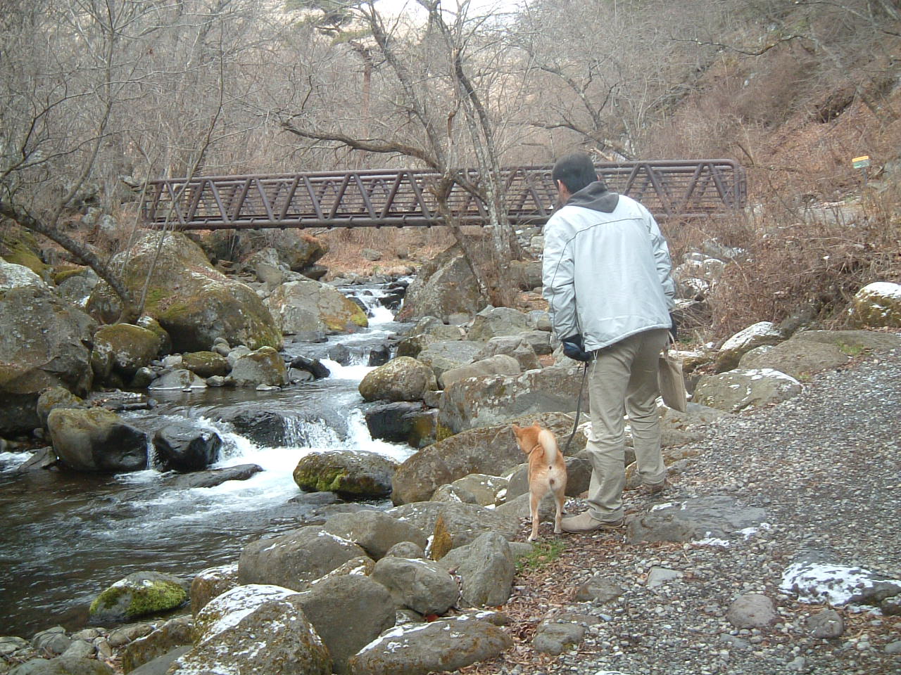 e0053732_11435164.jpg