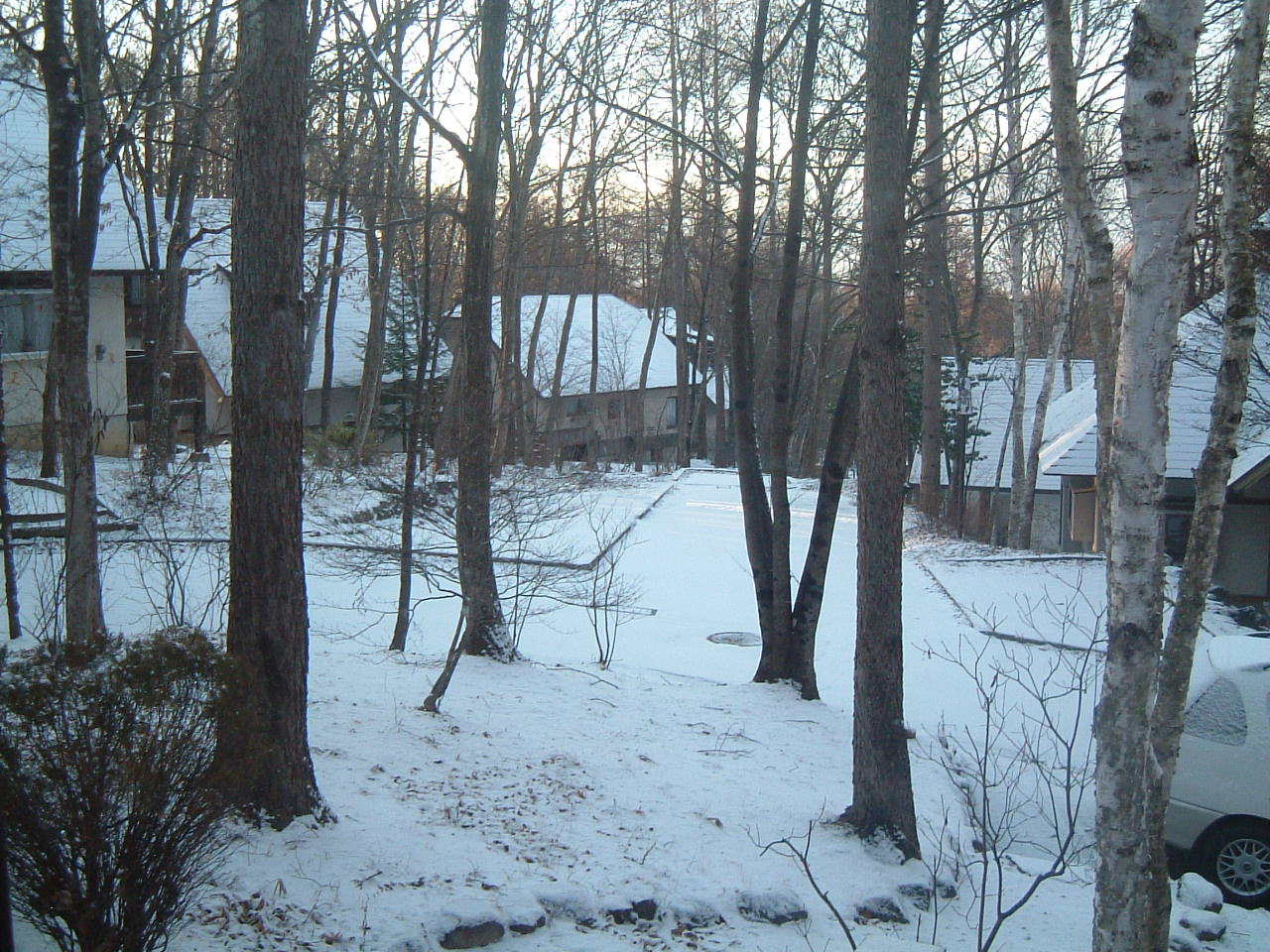 e0053732_724575.jpg