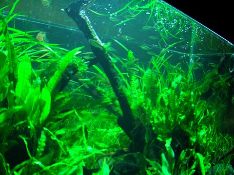 c0087937_2291194.jpg