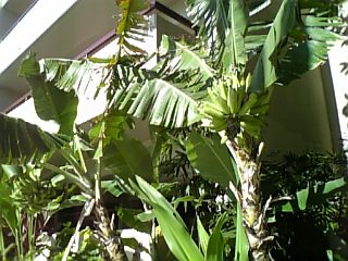 f0053847_15123257.jpg