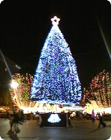 f0096147_2031375.jpg