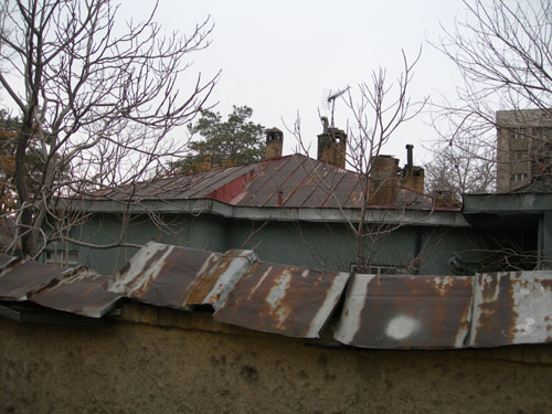b0006449_15191716.jpg