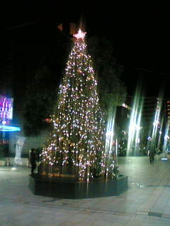 c0098304_21462593.jpg