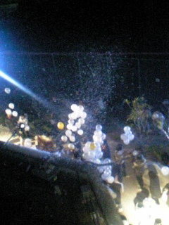 b0089407_57862.jpg