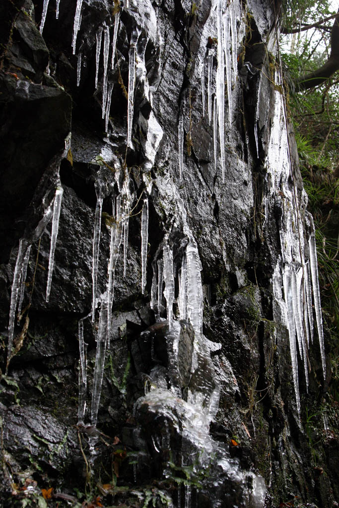 d0085715_0221964.jpg