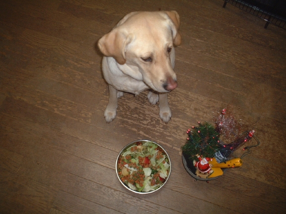 e0047026_23125265.jpg