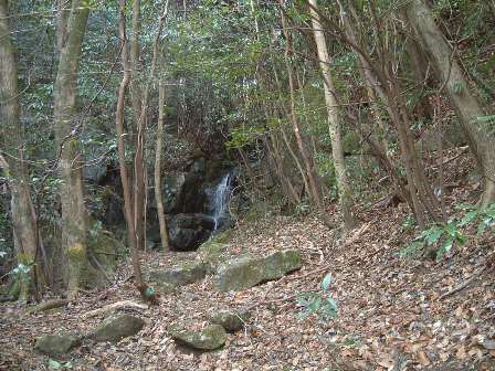 c0077338_036492.jpg