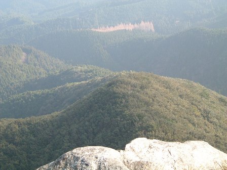 c0077338_046932.jpg