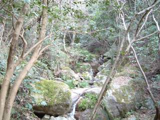 c0077338_23535568.jpg