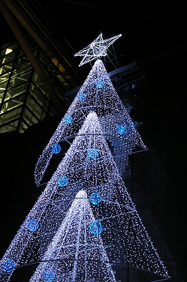 f0094045_626581.jpg