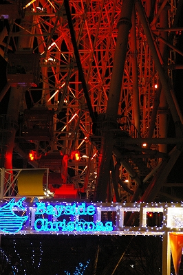 f0094045_6304476.jpg