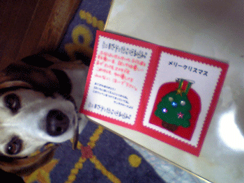 b0005652_19132036.gif