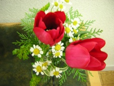 c0081552_20272642.jpg