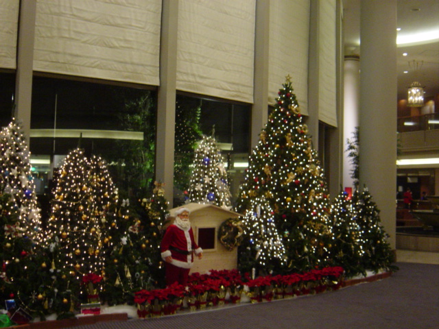 f0036857_143692.jpg