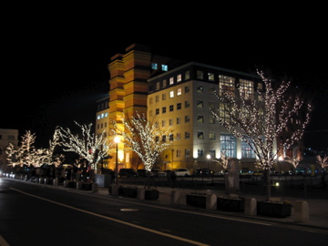 e0014058_1618853.jpg