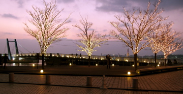 e0014058_16415262.jpg