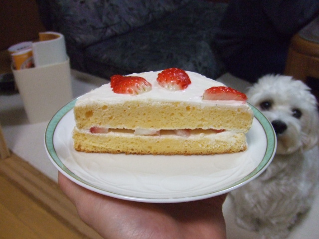 b0103668_2346826.jpg