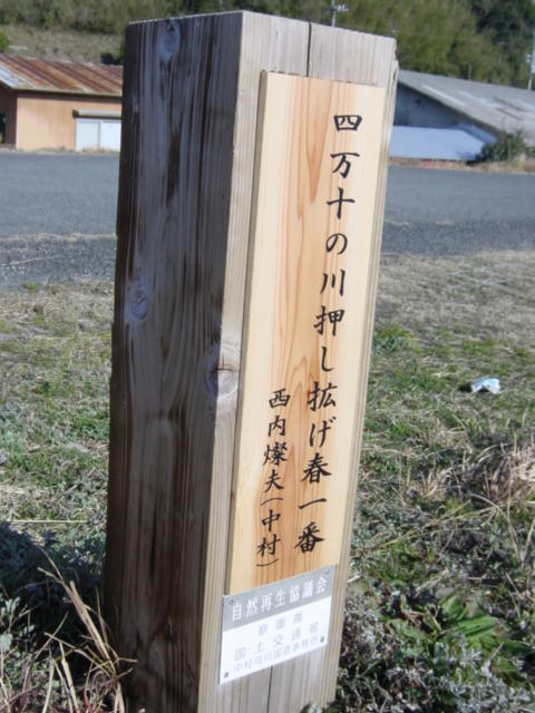 f0000771_652812.jpg