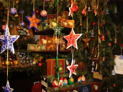 f0029271_8422517.jpg