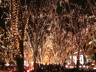 a0027972_18372469.jpg