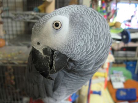 c0076490_2148232.jpg