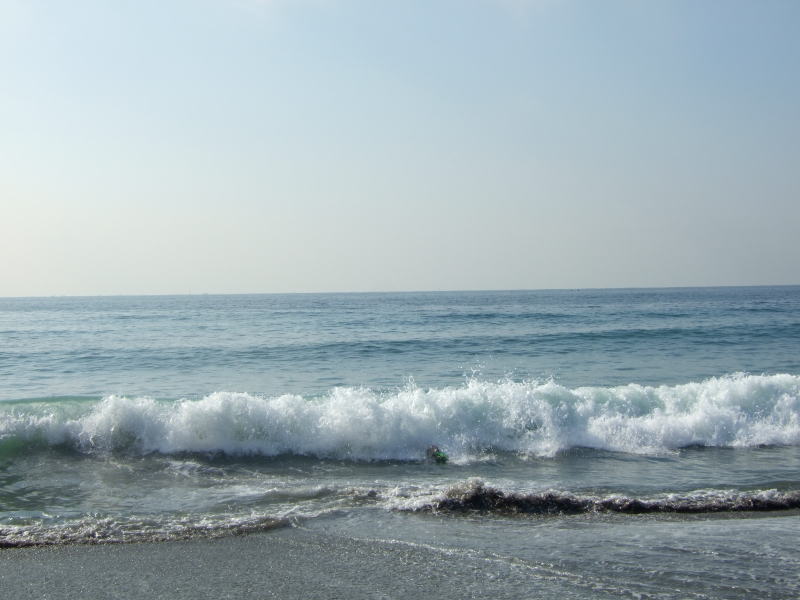 c0104492_133537.jpg