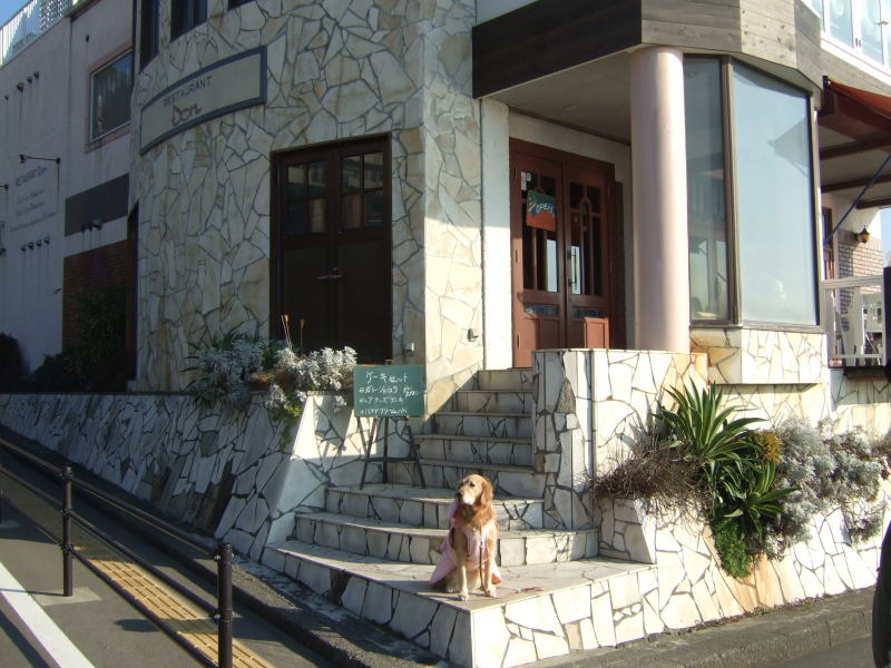 c0104492_134314.jpg