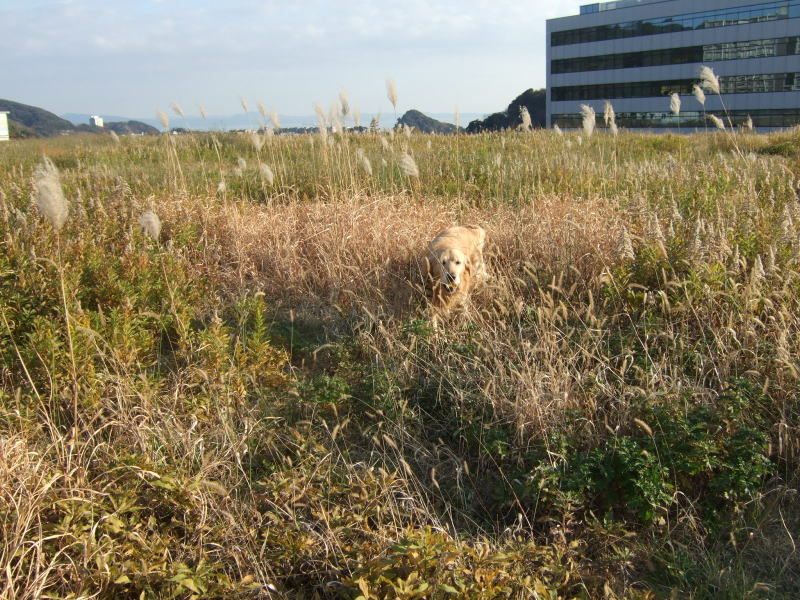 c0104492_1444596.jpg