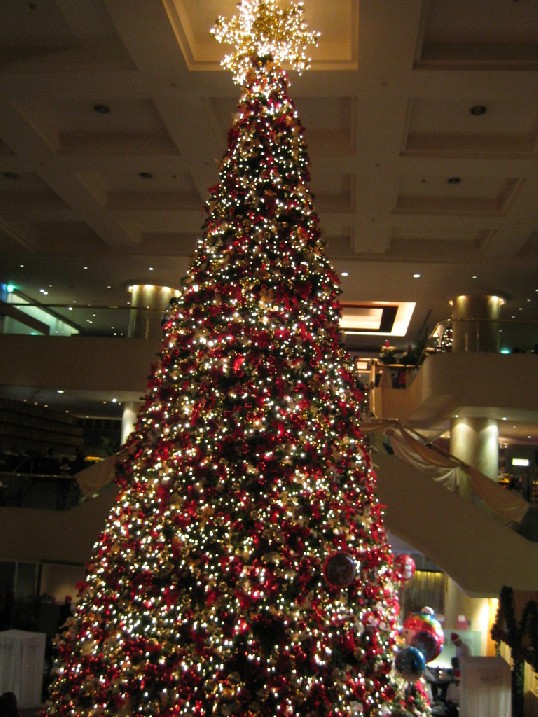 c0079397_23562773.jpg