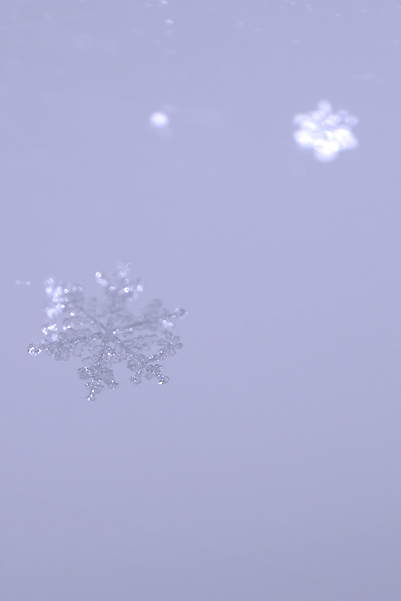 c0084097_5593367.jpg
