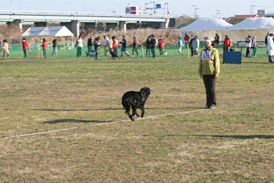 c0050400_14231795.jpg