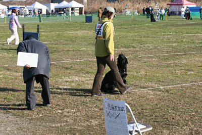 c0050400_15103688.jpg