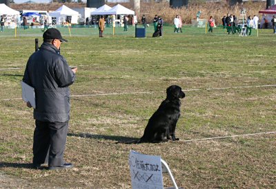 c0050400_1535840.jpg