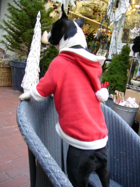 d0070702_11231590.jpg
