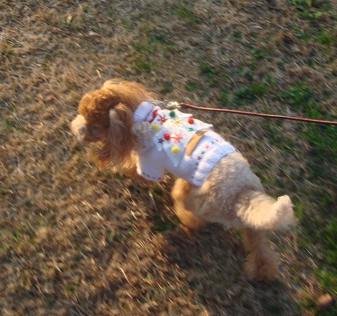 c0041207_10362480.jpg