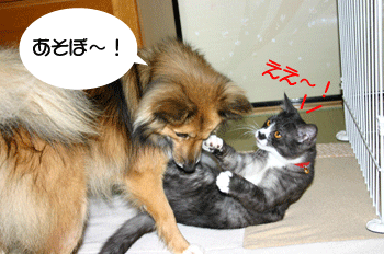 a0041108_21303986.gif