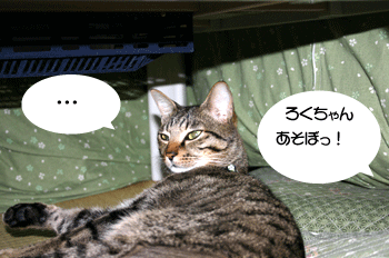a0041108_21384261.gif