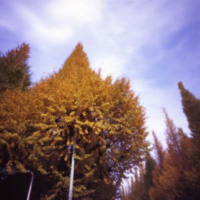c0016712_17115952.jpg