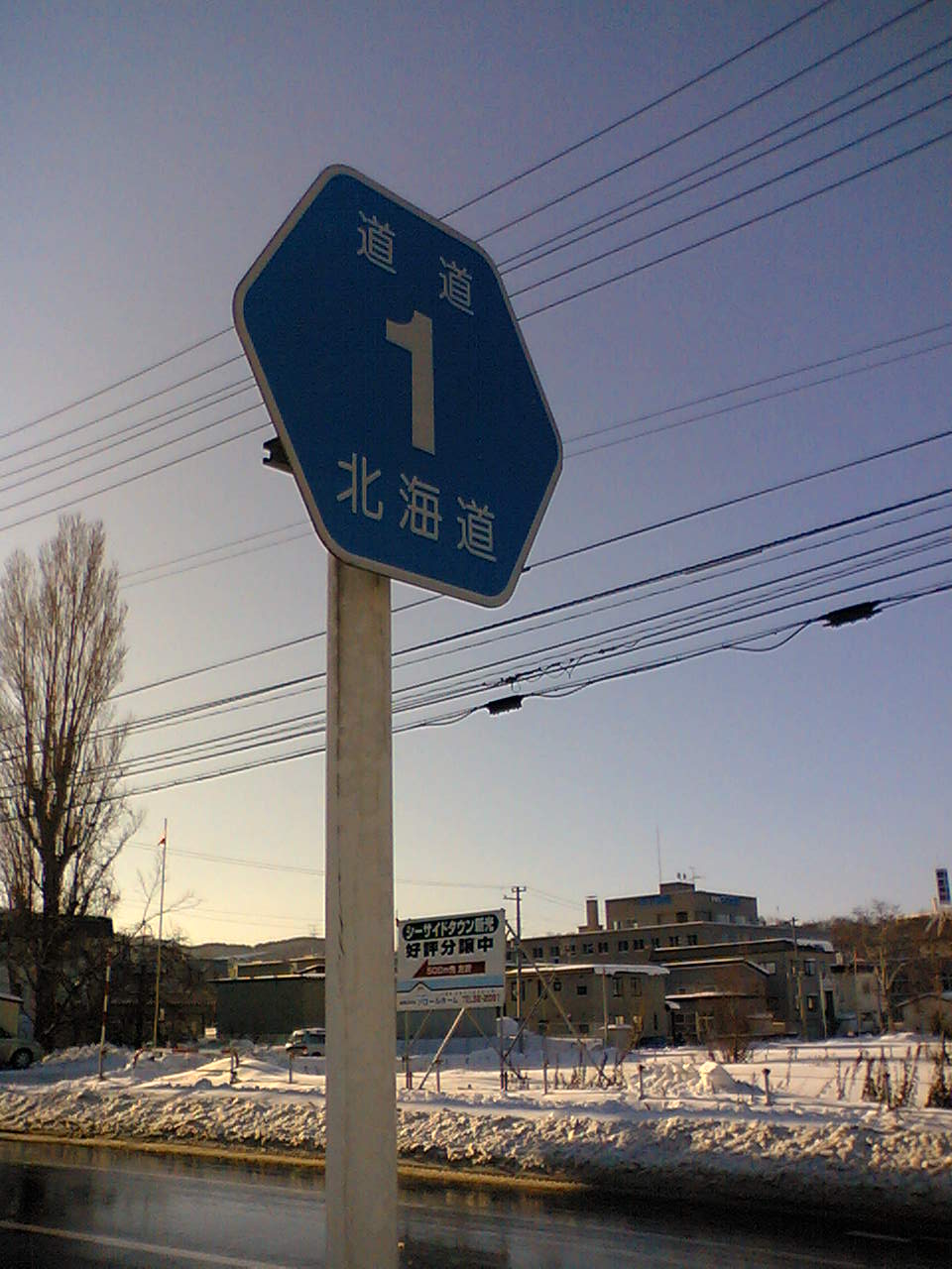 e0063317_1359818.jpg