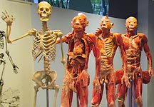 f0109919_944414.jpg