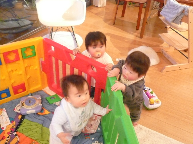 a0074523_21271441.jpg