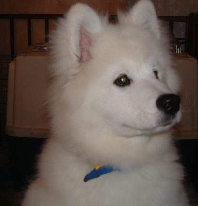 e0024126_20155975.jpg