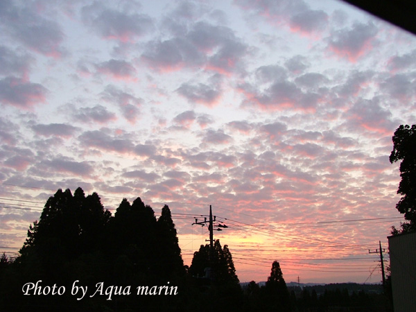 c0045227_655230.jpg