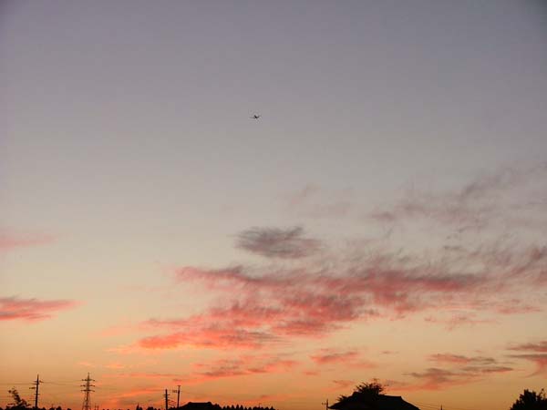 c0045227_6555133.jpg