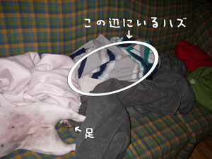 e0008833_1812860.jpg
